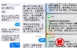 新泰为什么选择专业追讨公司来处理您的债务纠纷？